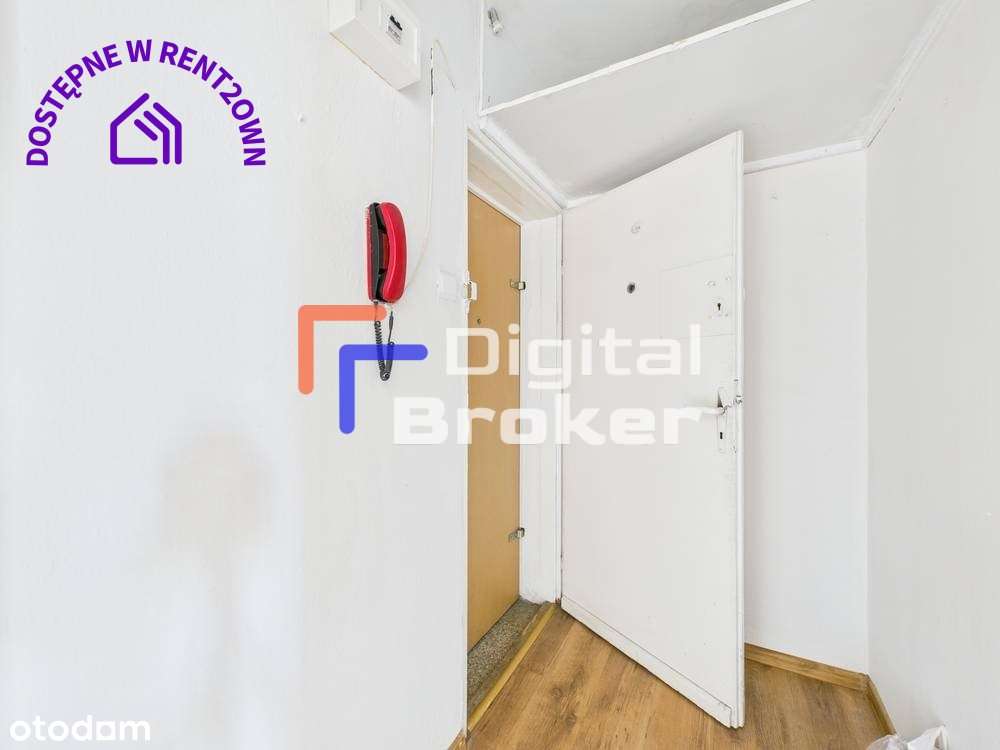 ⭐️Inwestycyjnie⭐️Mordor⭐️Niska zabudowa⭐️ - Pełny obrazek: 5/8