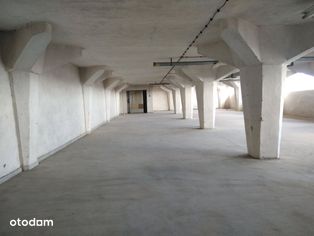 WŁAŚCICIEL, magazyn 590 m2 , Górczyn, Grunwald - Pełny obrazek: 4/6