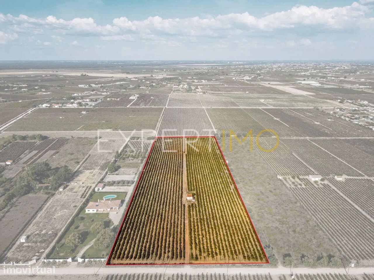 Terreno Rústico Palmela - Grande imagem: 4/13