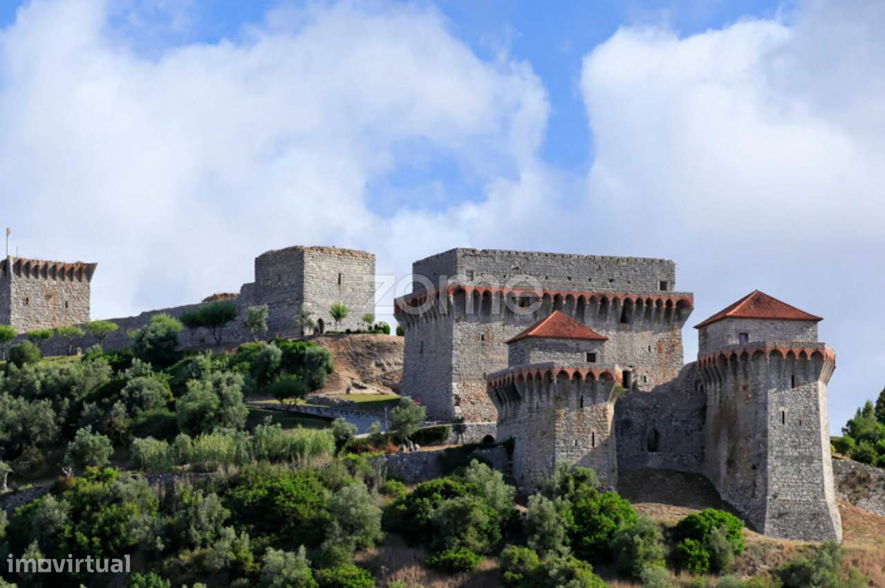 Pinhal - Grande imagem: 5/7