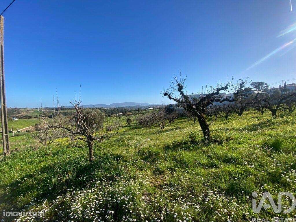 Terreno para construção em Carvalhal - Grande imagem: 4/9