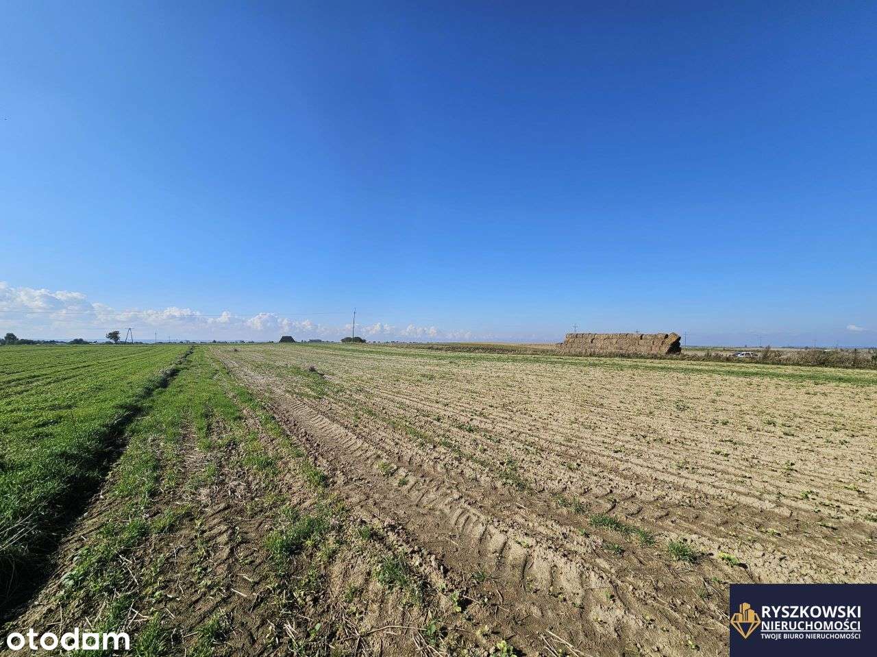 Siedliska-Kolonia działki po 1450 m2 z wydanymi Wz - Pełny obrazek: 4/20