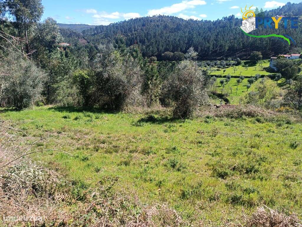 Ruínas com terreno situadas a 5 quilómetros da Vila da Sertã - Grande imagem: 4/20