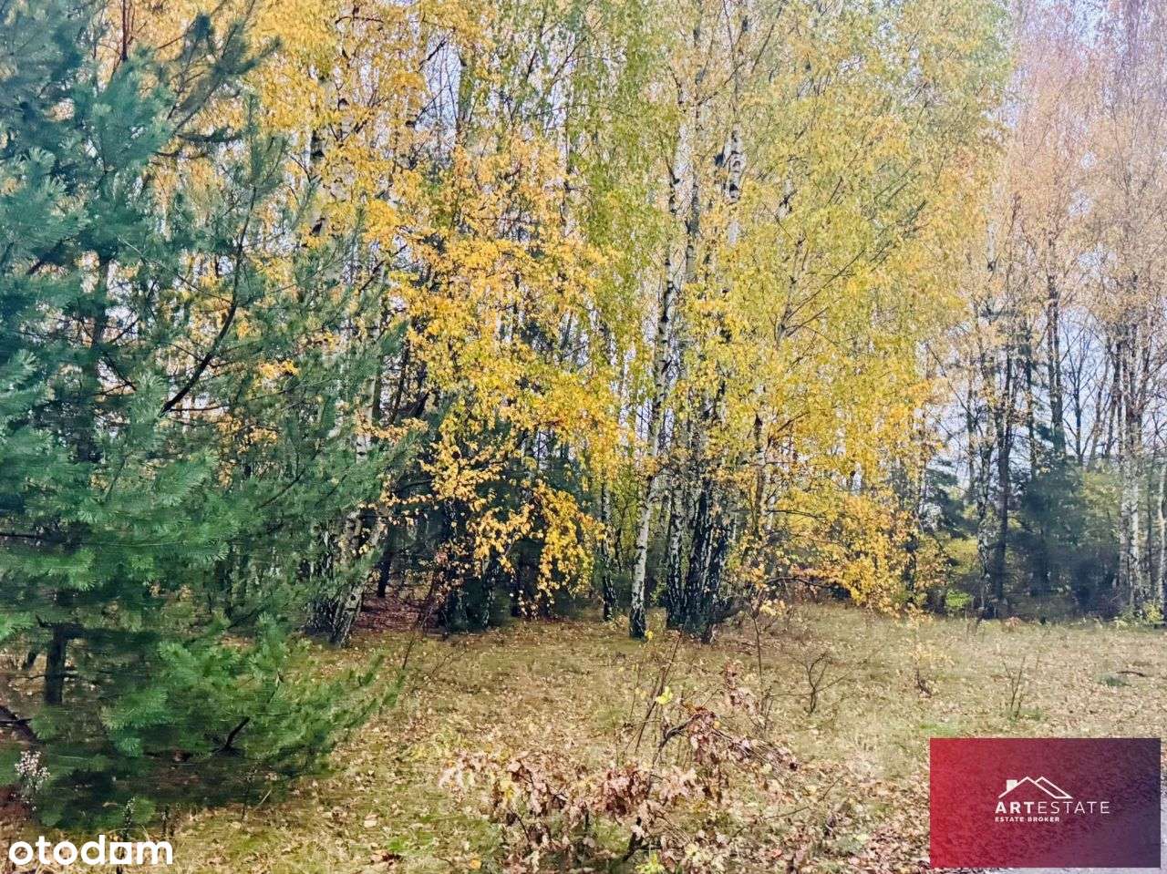 Działka Budowlana Słowak gm. Aleksandrów Ł.-10