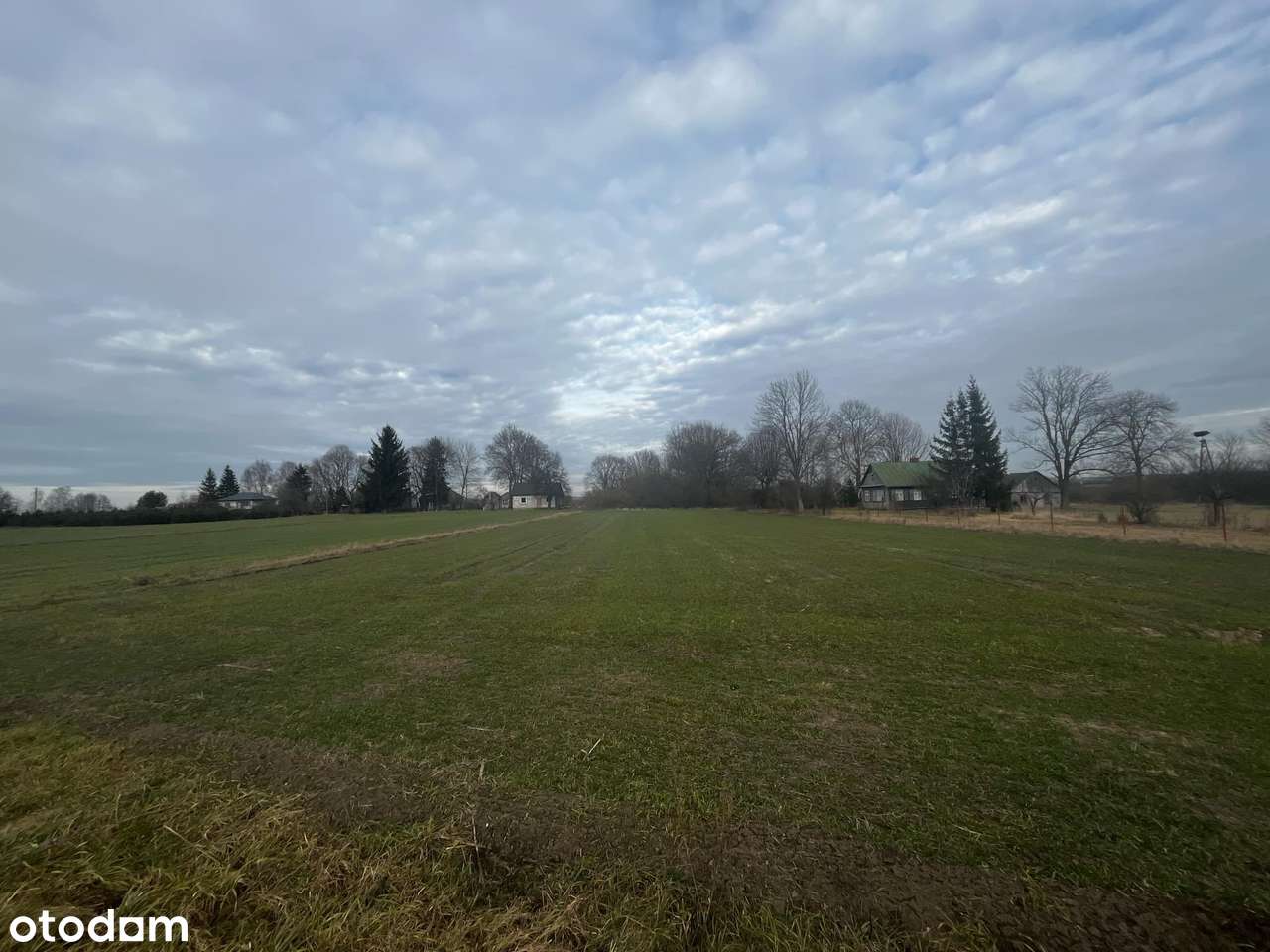 Działka Pojezierze Łęczyńsko-Włodawskie 38 800m2