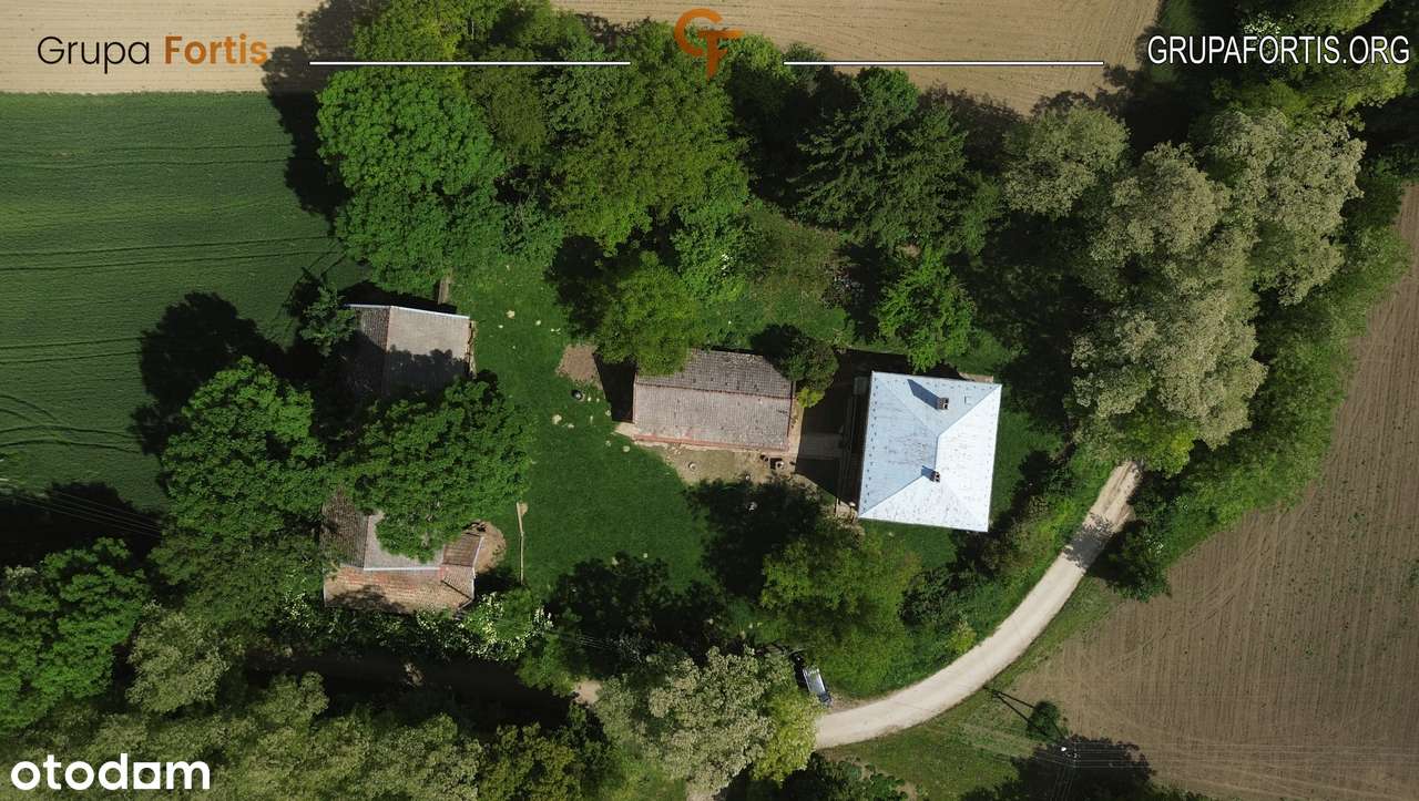 Dom z działką rolną 1,43ha w Opatkowiczkach - Pełny obrazek: 4/12