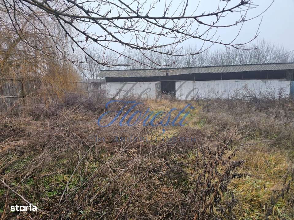 Hala 330 mp + Teren 1000 mp, Borsa, Cluj - Imagine principală: 1/3