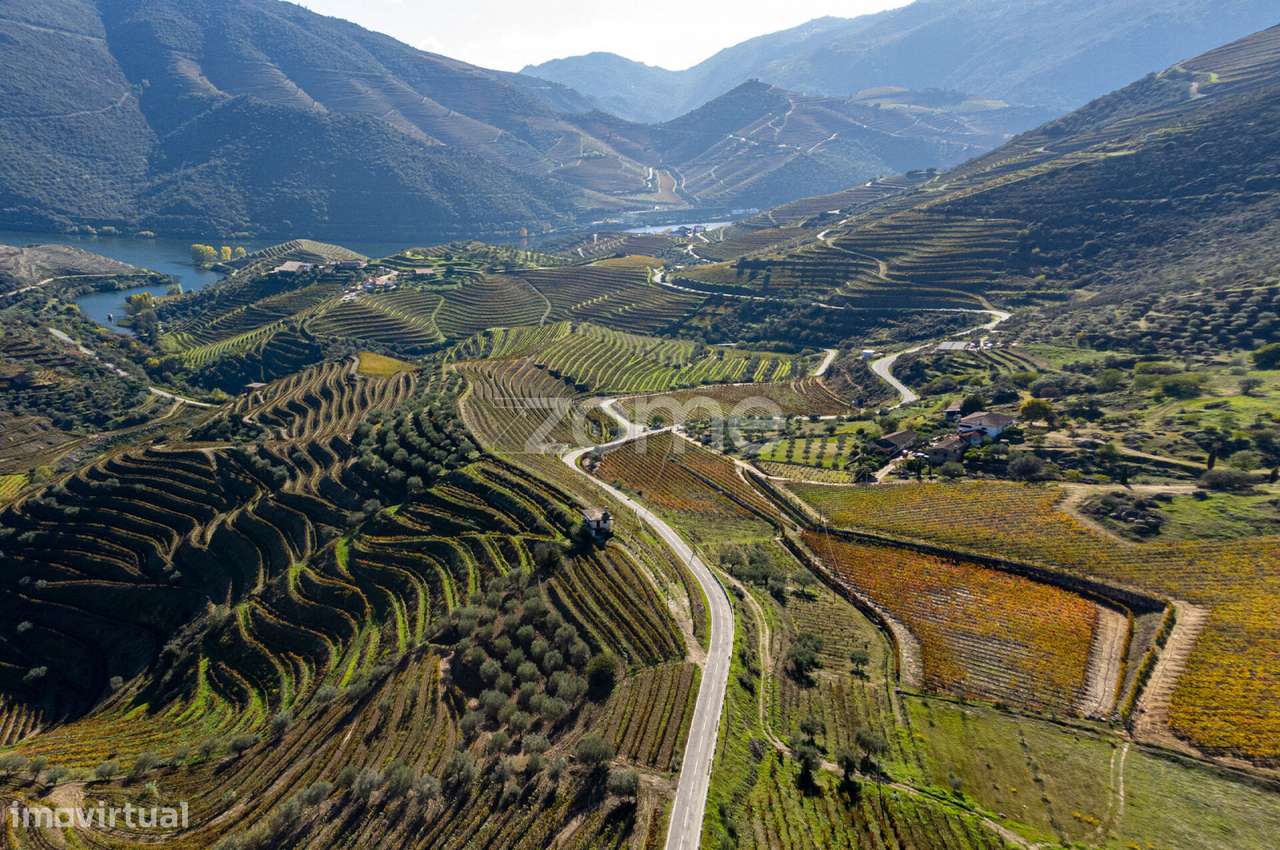 Quinta Seixo de Ansiães - Grande imagem: 4/54