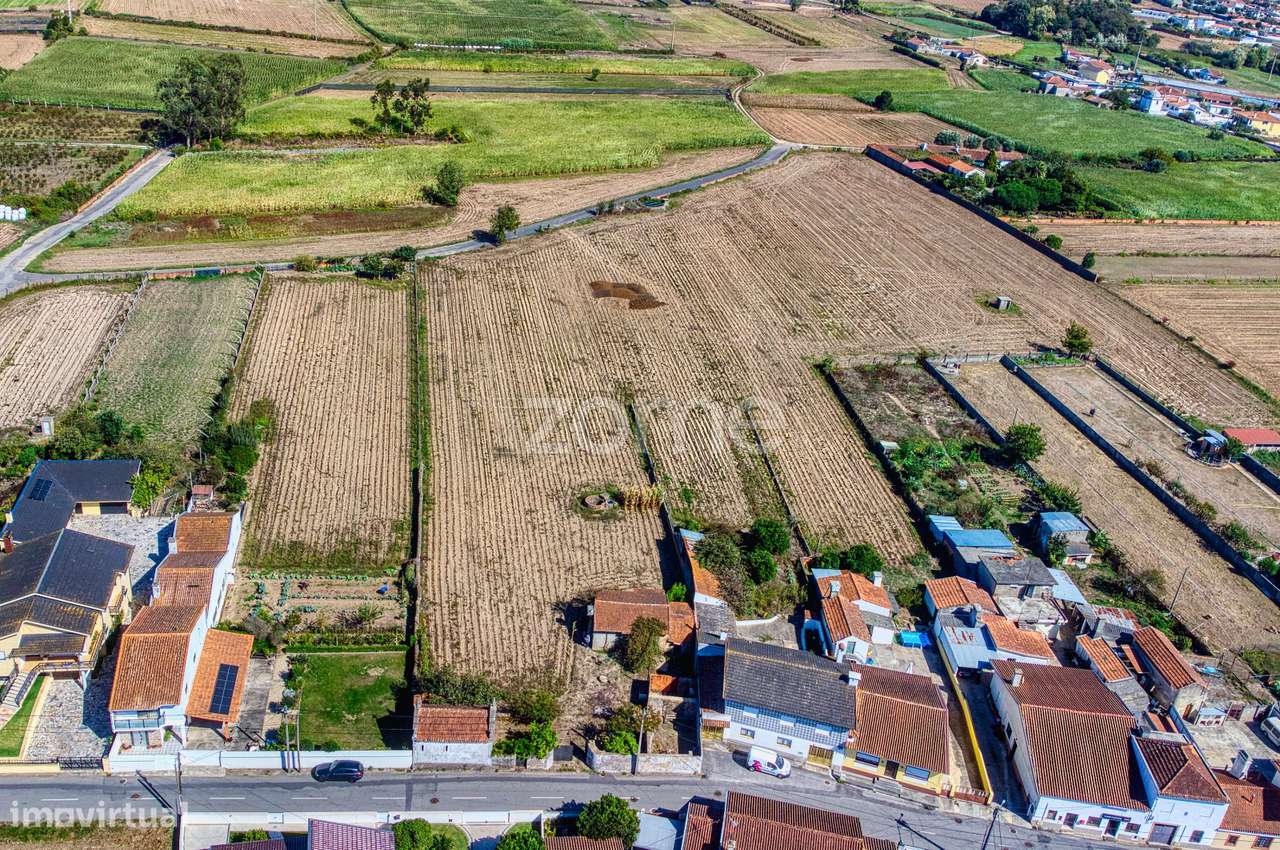 Dois Lotes em Avanca – 4.152 m² com Alvará de Loteamento - Grande imagem: 4/24