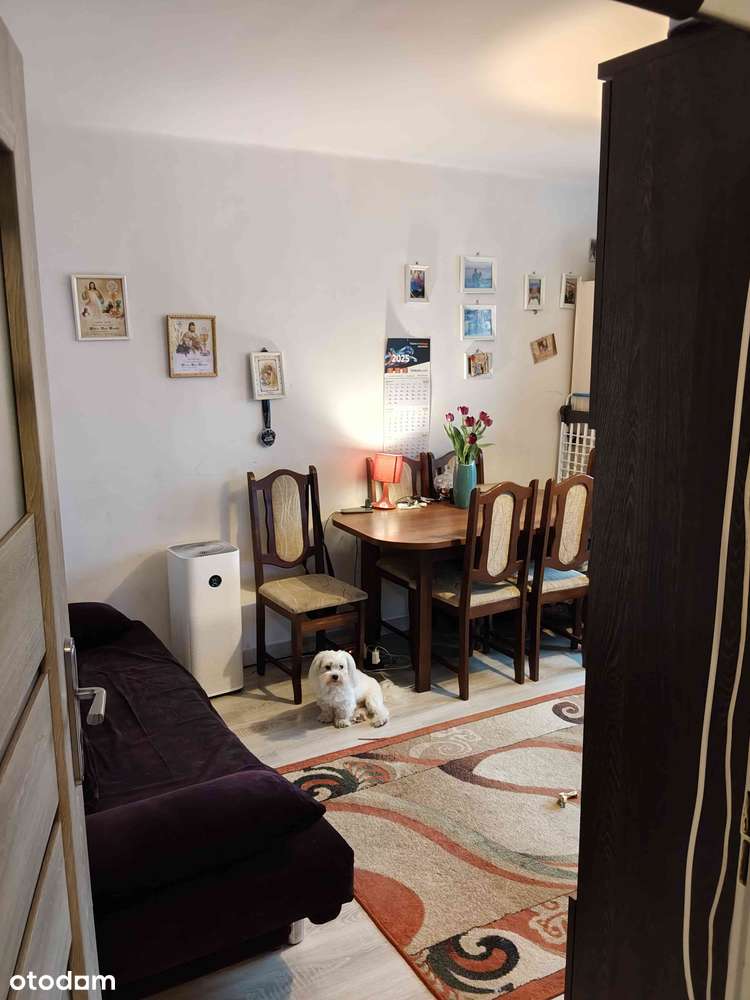 Dwupokojowe mieszkanie z balkonem - Pełny obrazek: 5/7