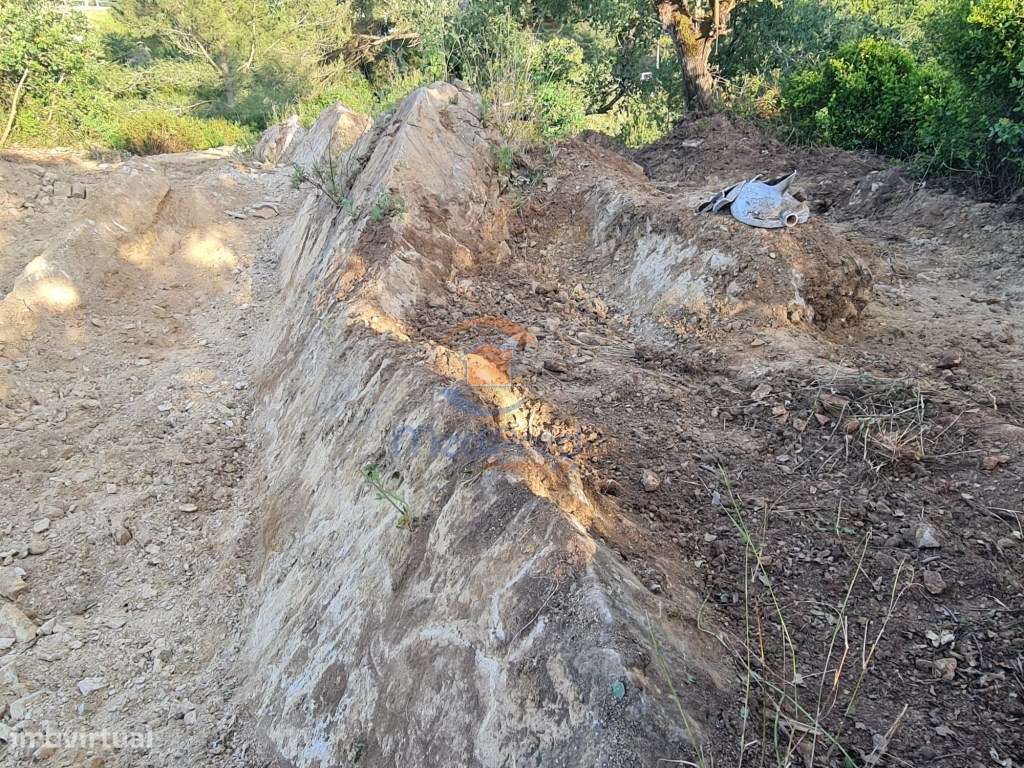 MTM6873 - Quintinha 3.000m2 | Torres Vedras - Grande imagem: 4/7