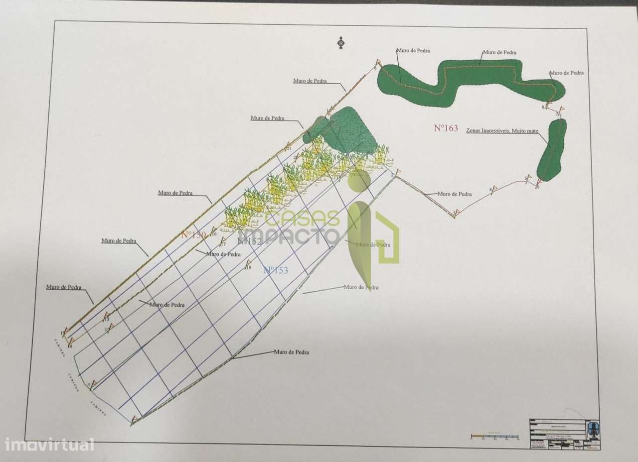 Terreno Rústico com 19.160m2 a venda na Terrugem - Grande imagem: 5/5