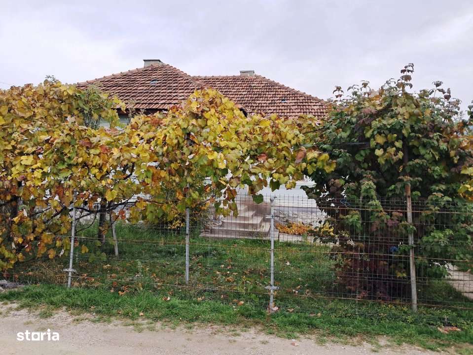 CASĂ SI TEREN BAIA DE FIER - Imagine principală: 2/14