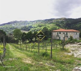 Quinta com produção de vinho em Celorico de Basto