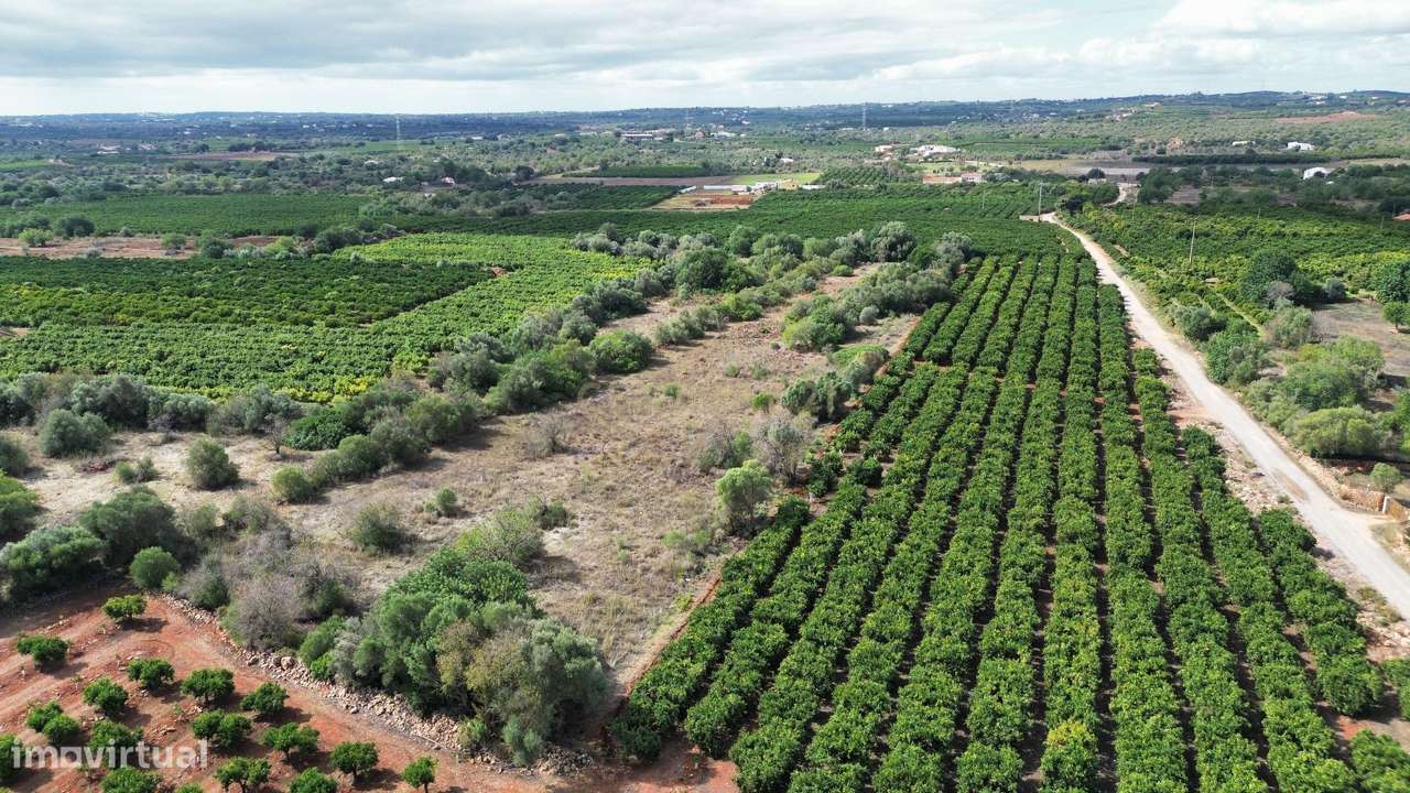 Terreno | Rústico | Plano | 11360m2 | São Bartolomeu de Messines - Grande imagem: 2/10