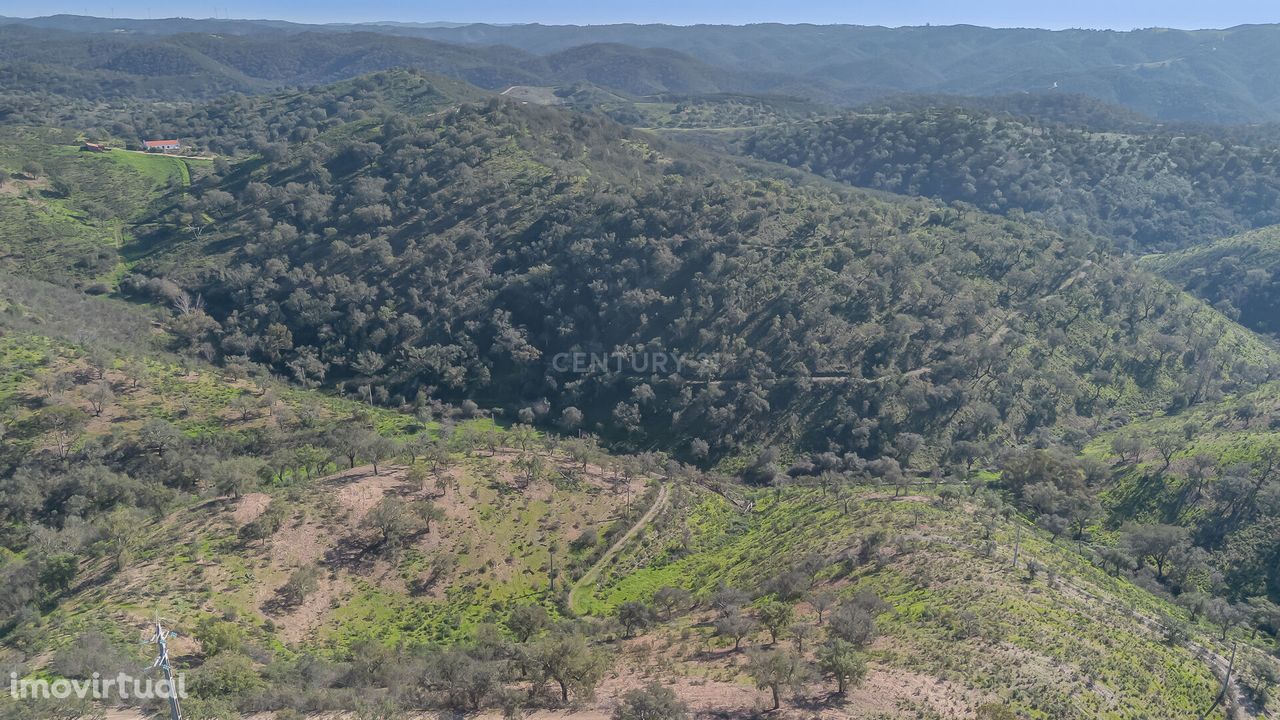 Terreno Rústico em Almodôvar com 54750 m2