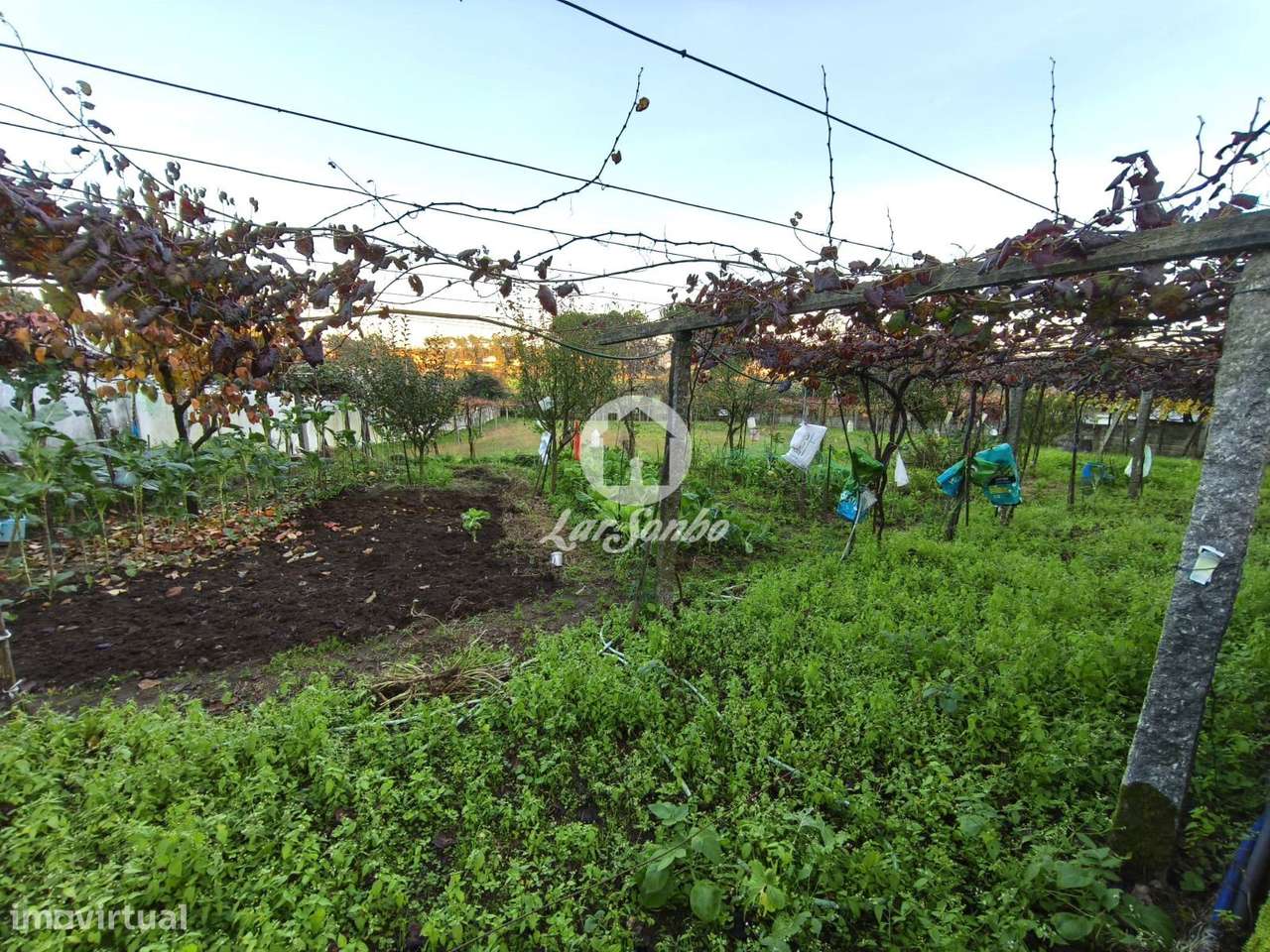 Terreno Ideal para Construção de Moradias - Grande imagem: 4/30