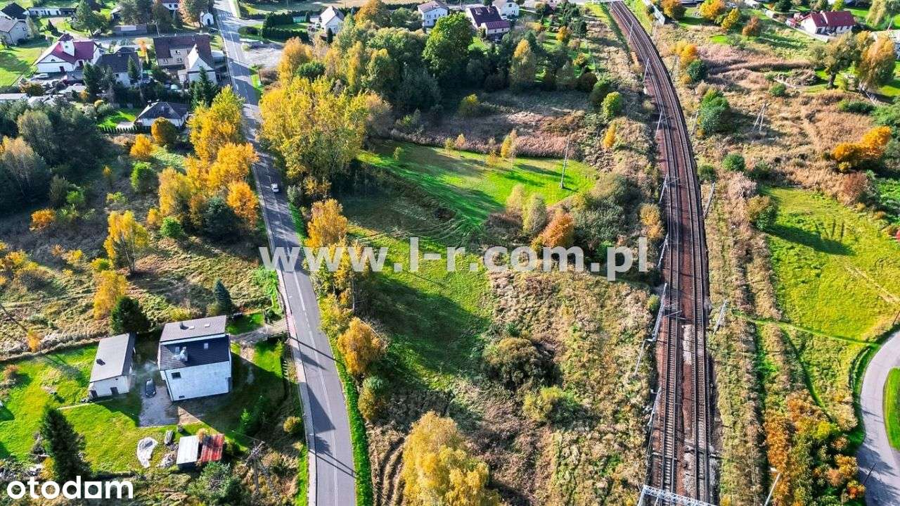 Przestrzeń Wśród Łąk, Drzew I Zieleni - Pełny obrazek: 5/10