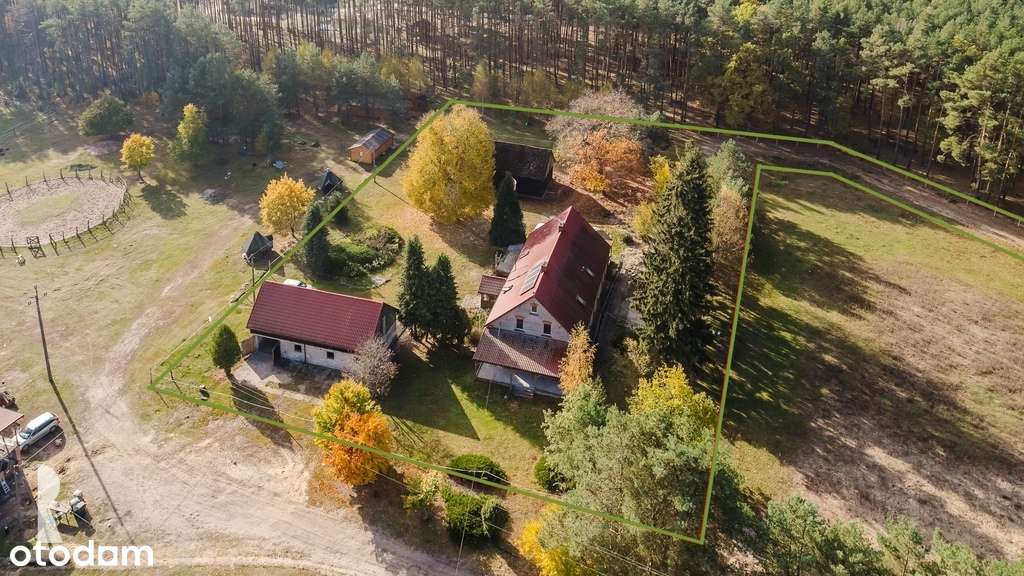 Dom w lesie z gospodarstwem k. Nowego Tomyśla - Pełny obrazek: 4/20