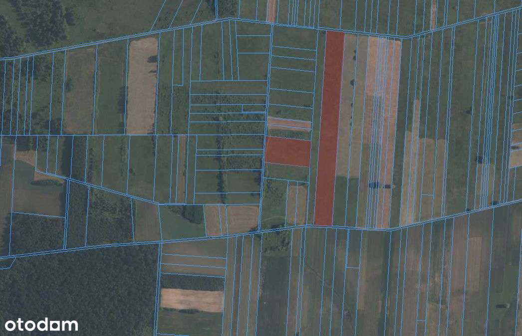 Działki rolne - 4,68ha w pobliżu Drohiczyna! - Pełny obrazek: 4/5