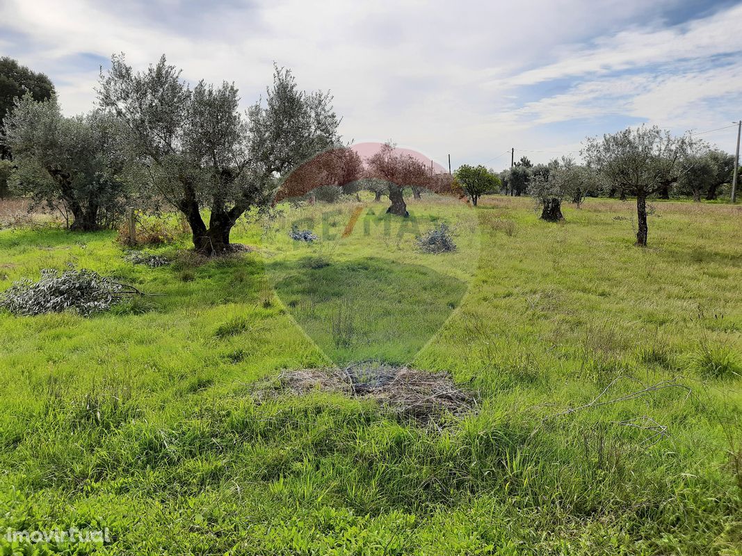 Terreno  para venda