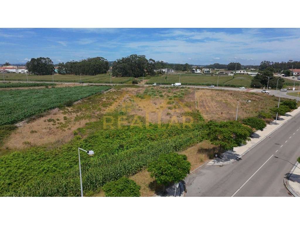Excelente Oportunidade de Investimento: Terreno para Construção em ...-21
