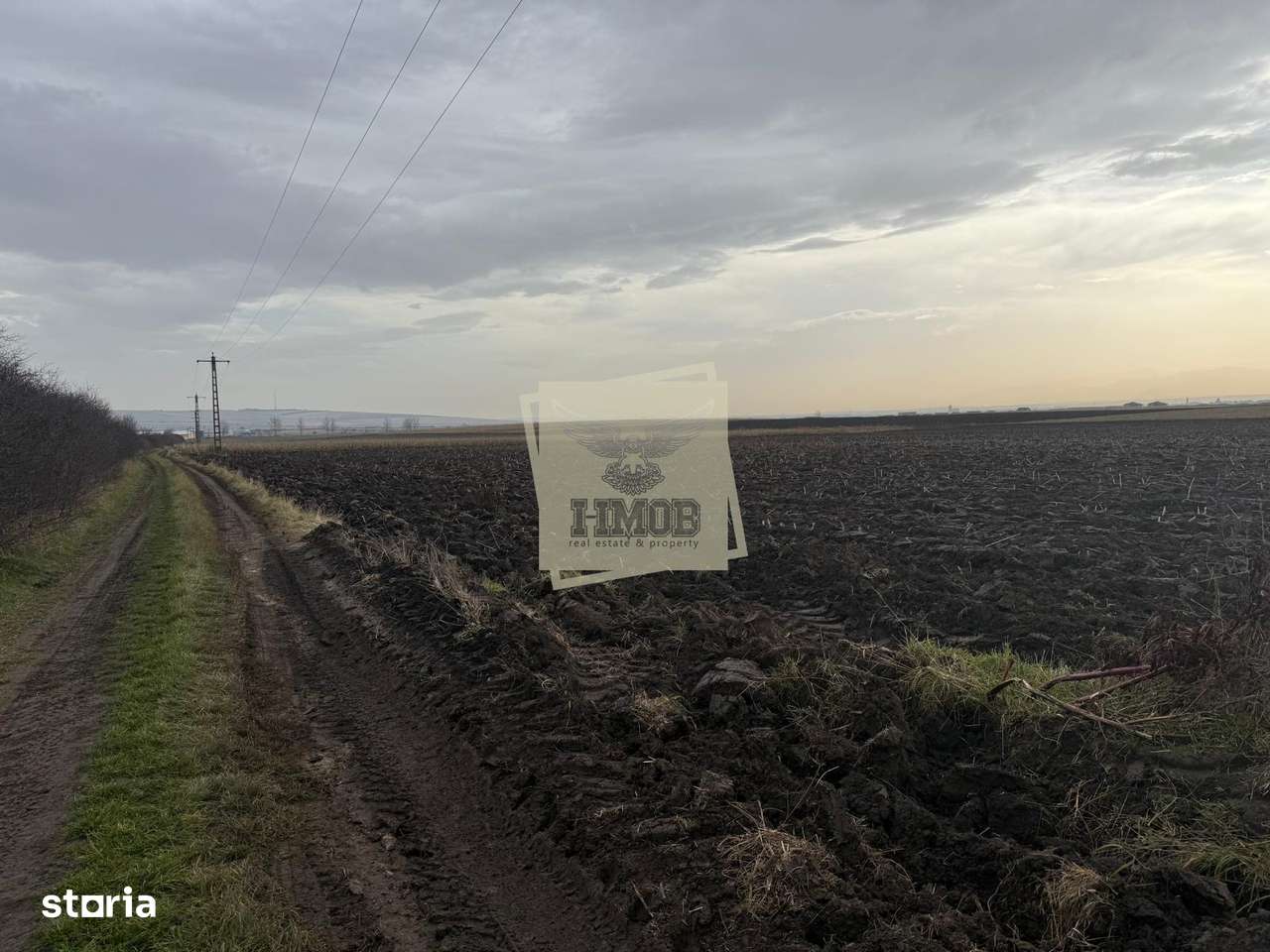 Teren extravilan in EXCLUSIVITATE 20300 mp in Sura Mica - Imagine principală: 4/4