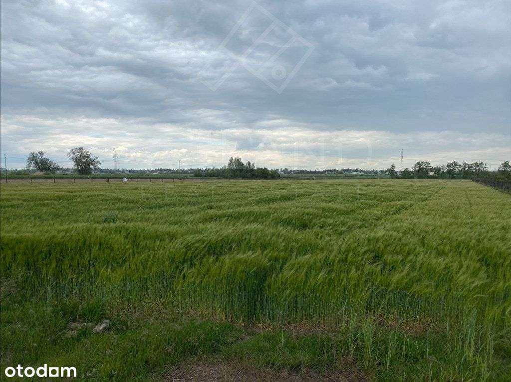 Grunt inwestycyjny w Poznaniu przy A2. - Pełny obrazek: 2/5