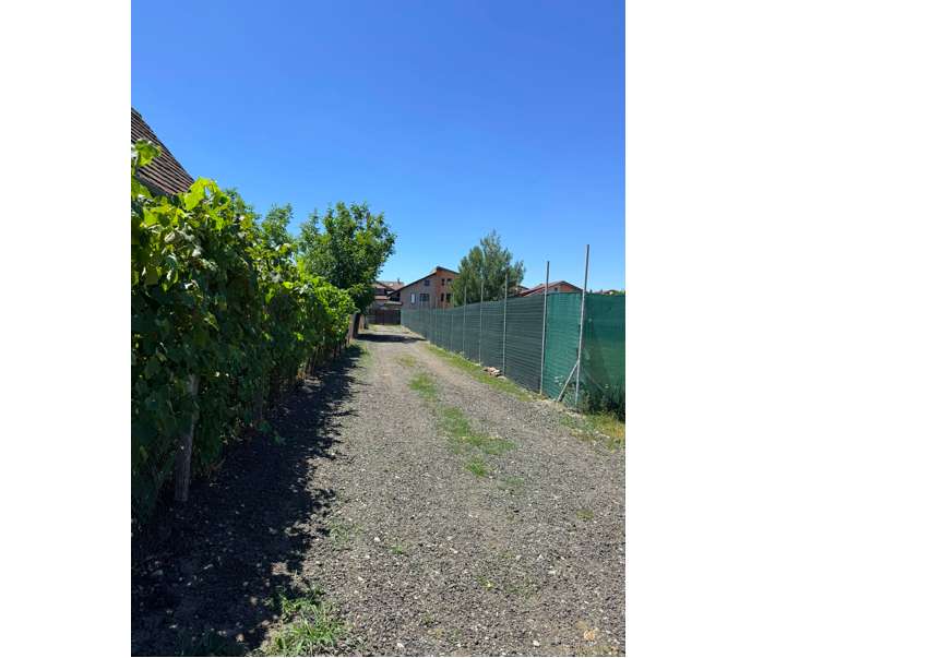 Vand Teren Intravilan, 683mp, Zona Tineretului - Imagine principală: 4/4