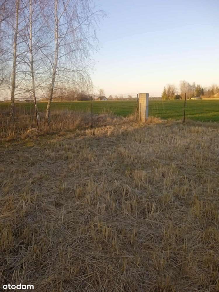 Działka rekreacyjna całoroczna – Długie Parcele,okolice jeziora Długie - Pełny obrazek: 3/5