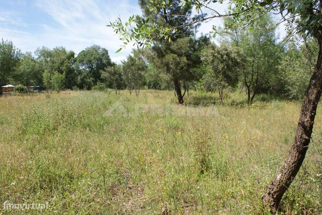 Terreno para venda - Grande imagem: 5/25