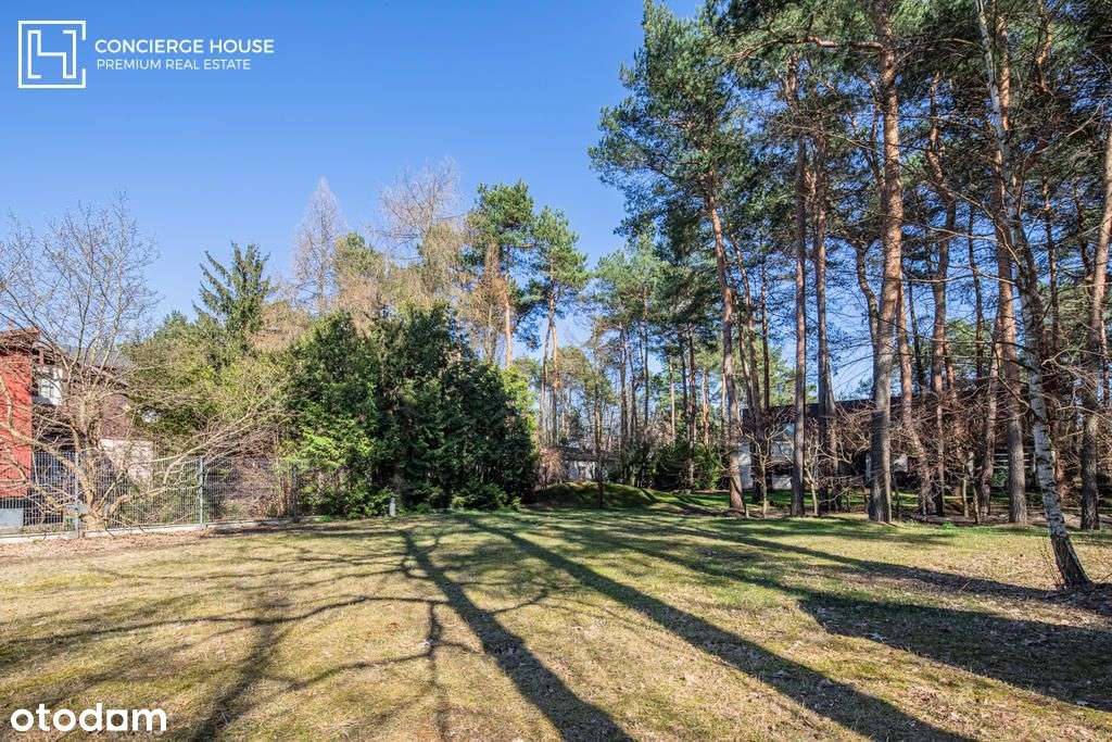Dom w Radości | Magiczna działka ze starodrzewiem-10