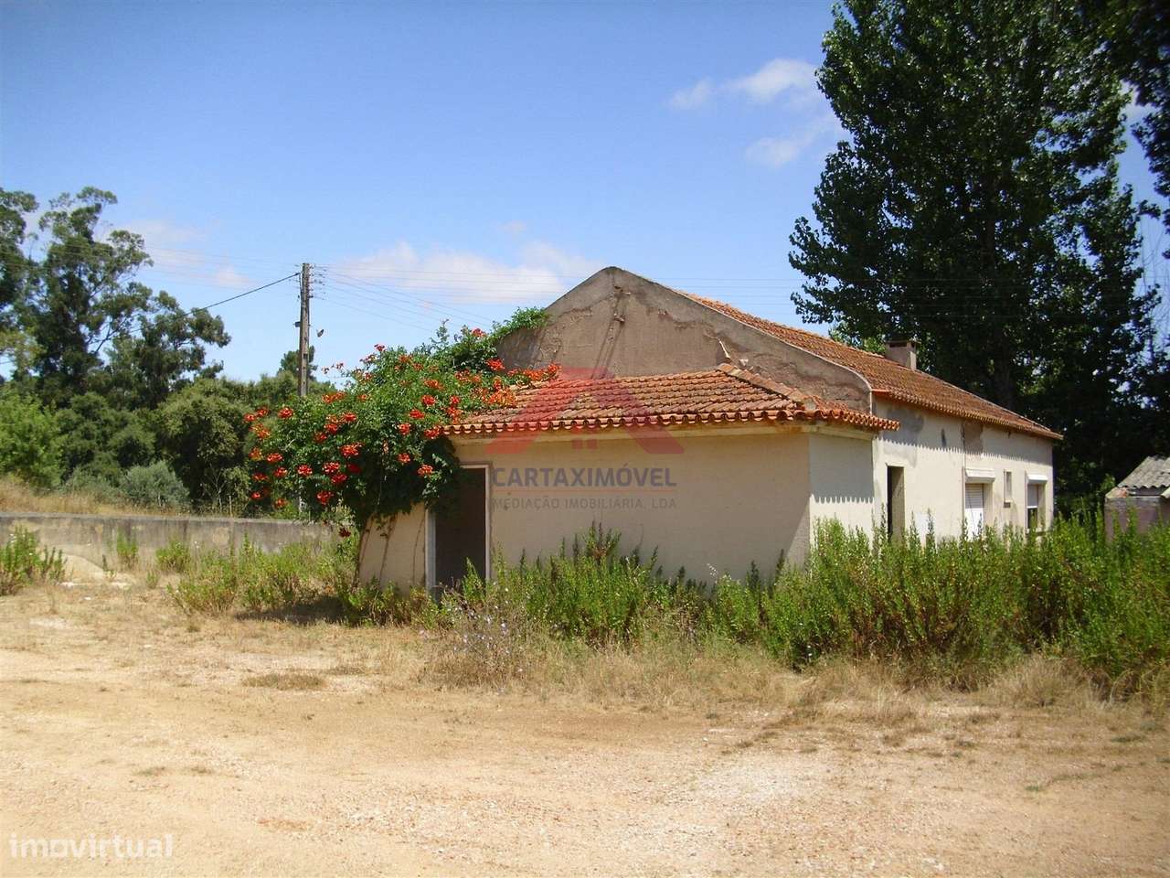 Armazém  Venda em Póvoa da Isenta,Santarém - Grande imagem: 4/5