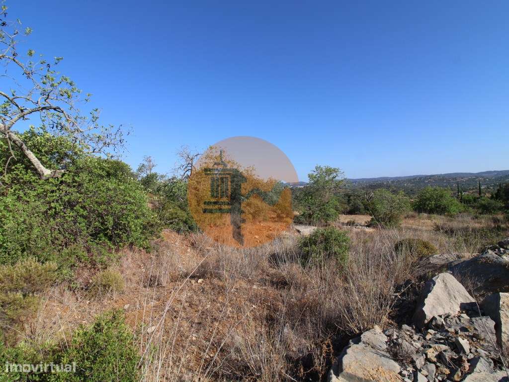 Terreno Rústico - Grande imagem: 3/20