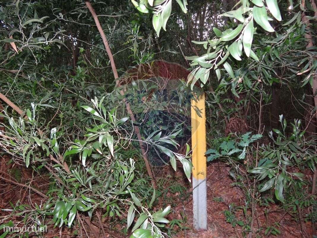 Terreno  para venda - Grande imagem: 5/6