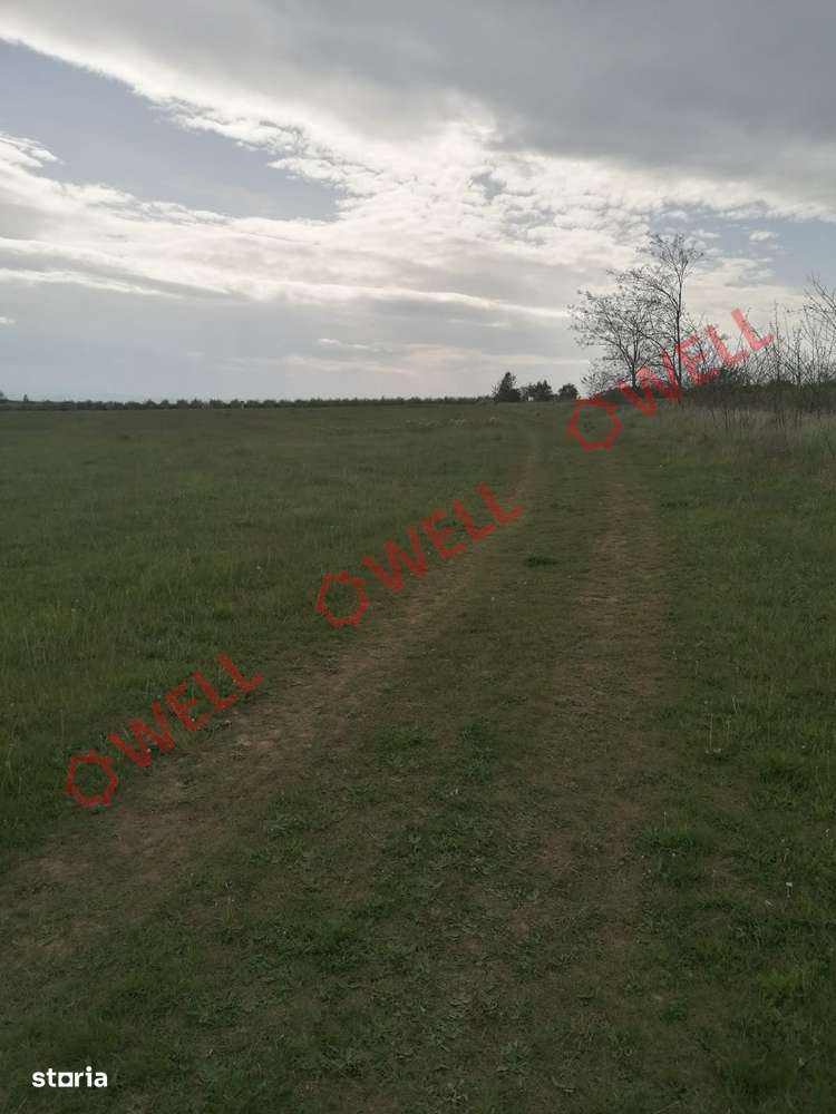 Teren intravilan de vânzare în Moacșa (Eresteghin)! - Imagine principală: 5/10