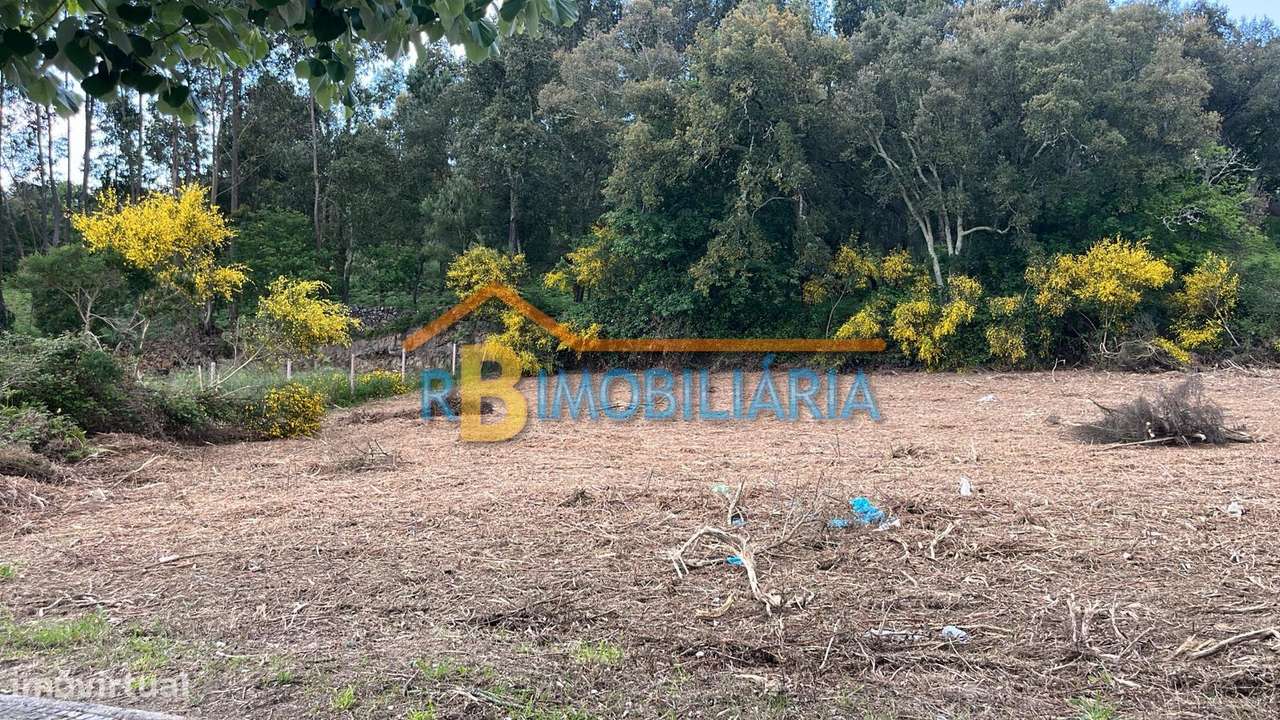 Lote para construção em Alvarenga, Arouca - Grande imagem: 3/5