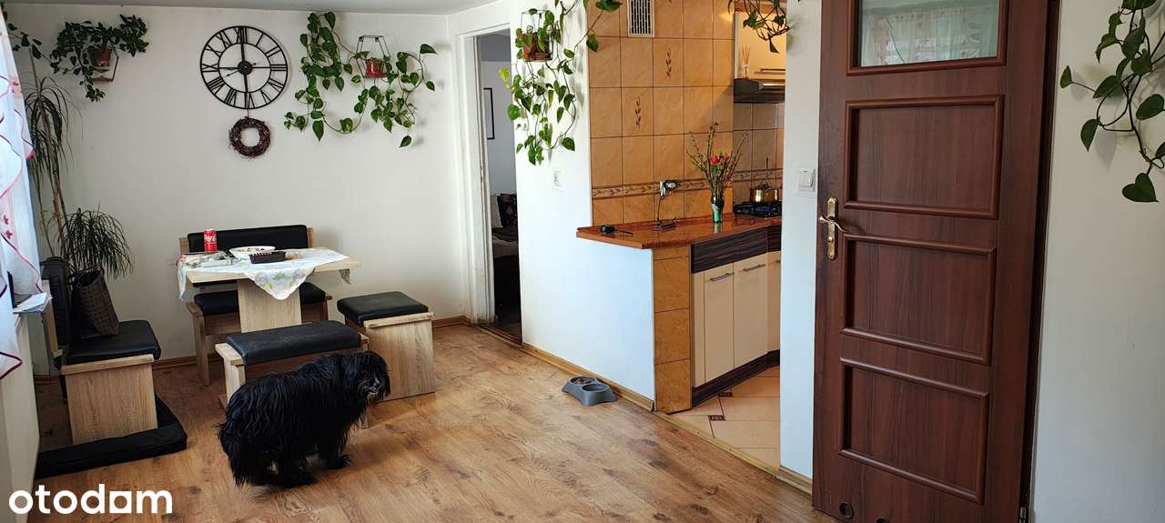 Dom, 96 m², Kłodzino-10