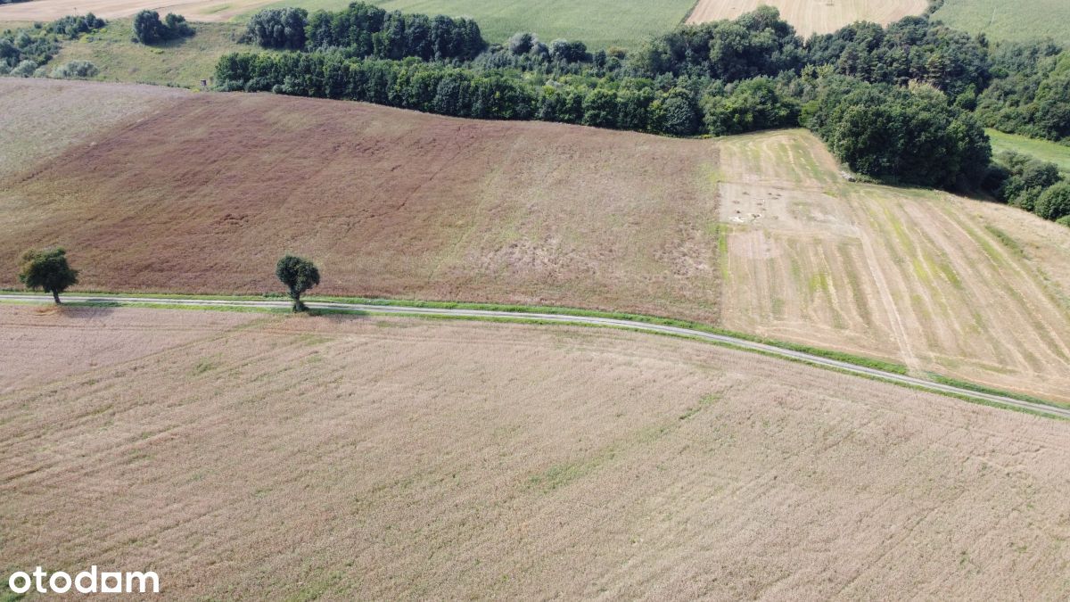 DziałkaPrzyLesie, Skłudzewo dojazd drogąUtwardzoną