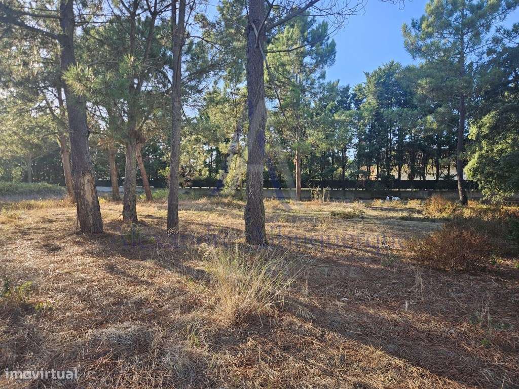 Excelente oportunidade de investimento ! - Grande imagem: 2/12