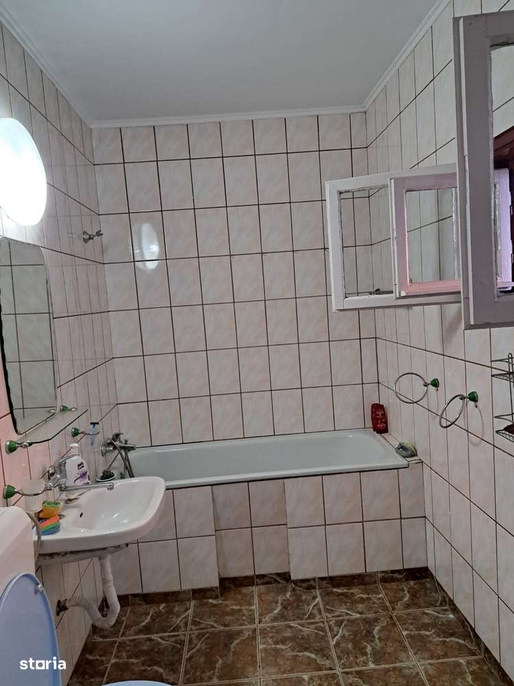 OFERTĂ in Băcia, Hunedoara ! Proprietate 2 case + Cabană + Livadă-10