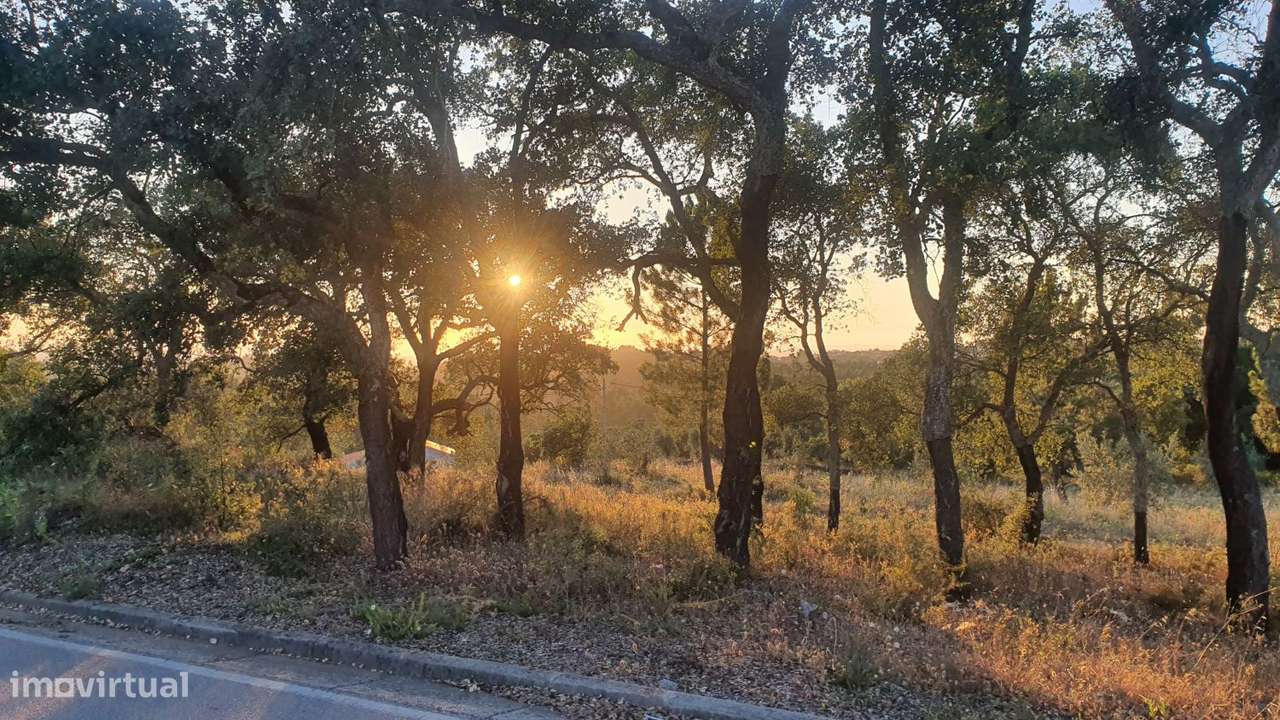 Terreno para Moradia com vista para a Serra D'Aire e Candeeiros-16