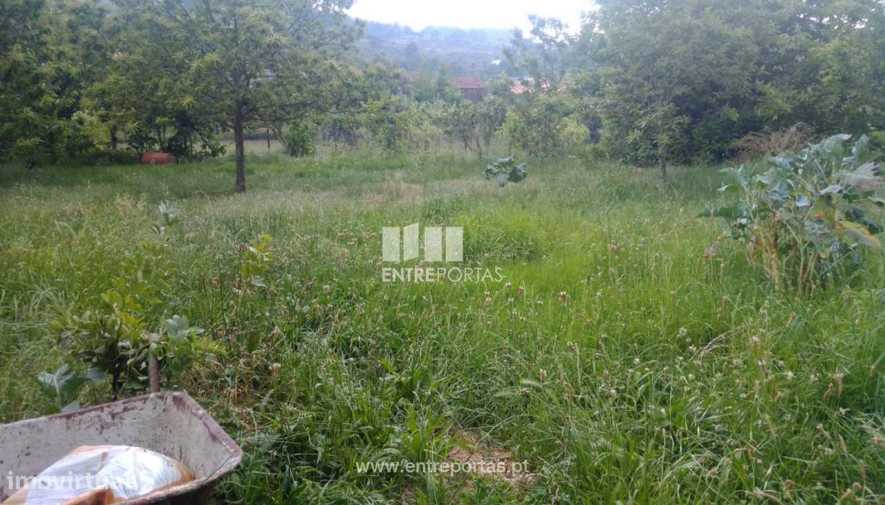 Venda Terreno, Rosém, Marco de Canaveses - Grande imagem: 4/31