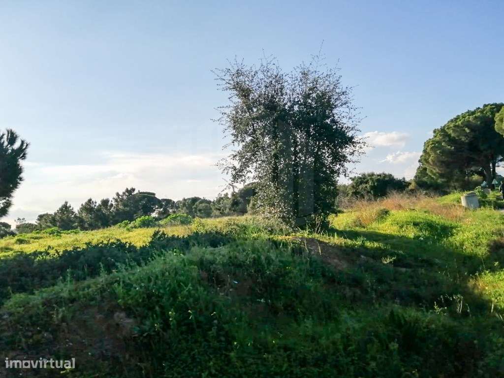 TERRENO ZONA INDUSTRIAL - Grande imagem: 3/5