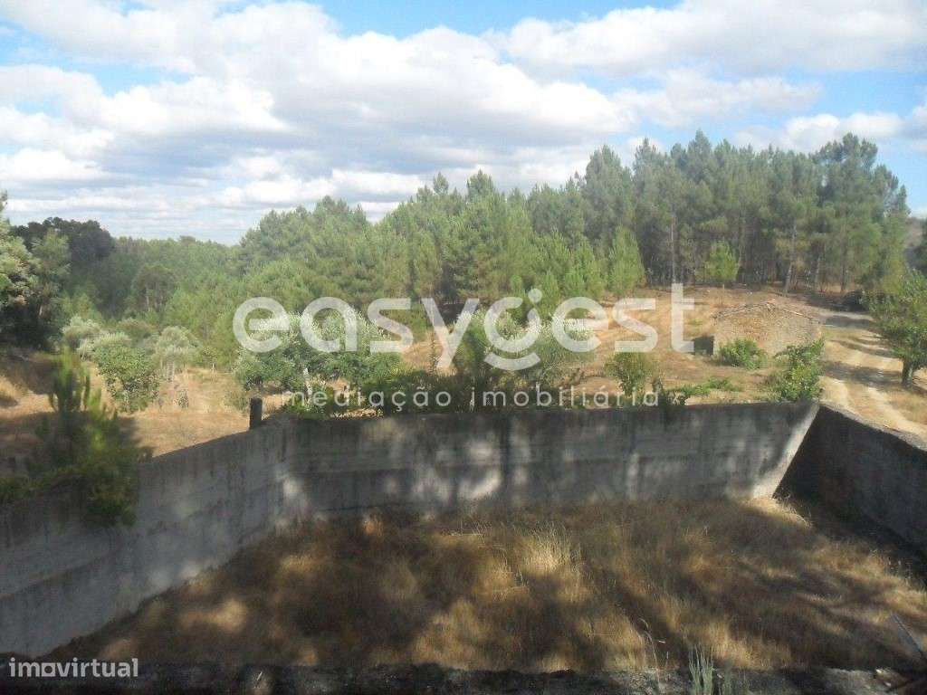 Maravilhoso Terreno Rústico com regadio, olival e vinha - Grande imagem: 5/13