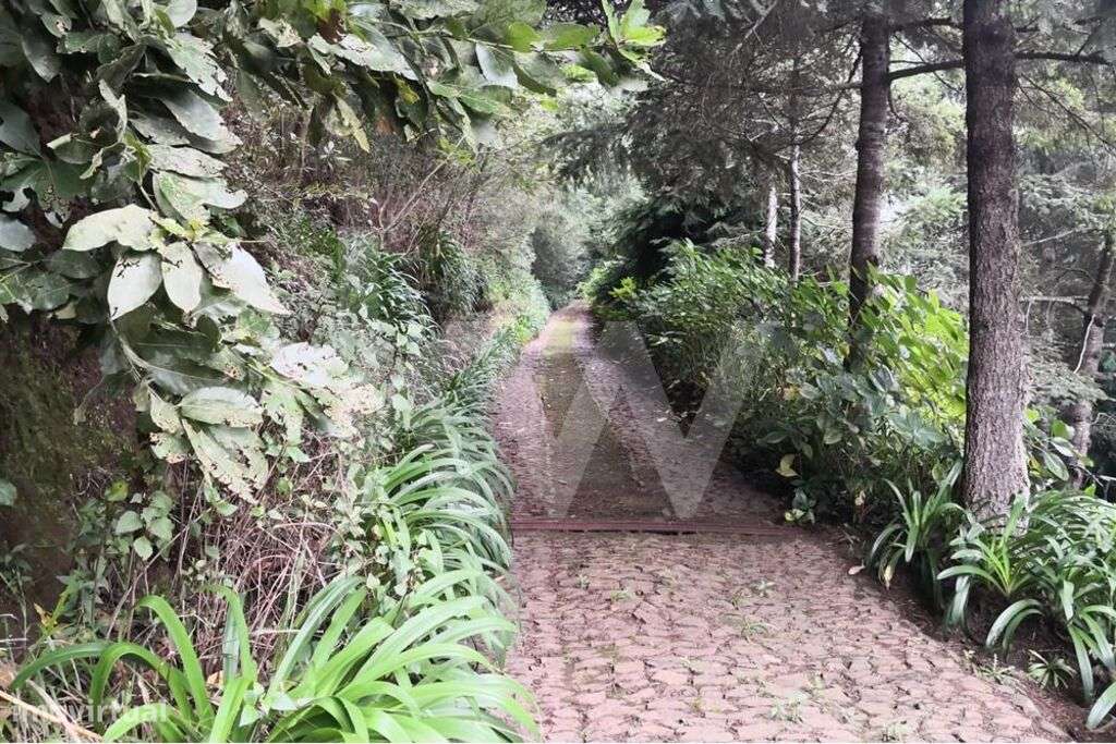 Quinta da Choupana | Vista magnífica sobre a cidade do Funchal | Ilha - Grande imagem: 3/14