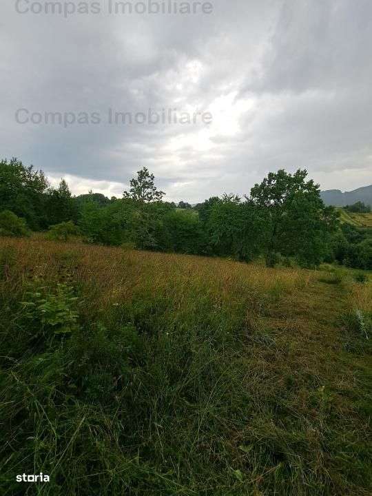 Teren Excepțional în Viisoara – Priveliște Panoramică - Imagine principală: 5/5