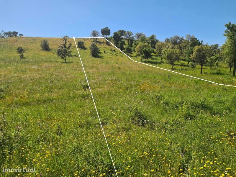 terreno agrícola Algarve ( Messines, perna seca)