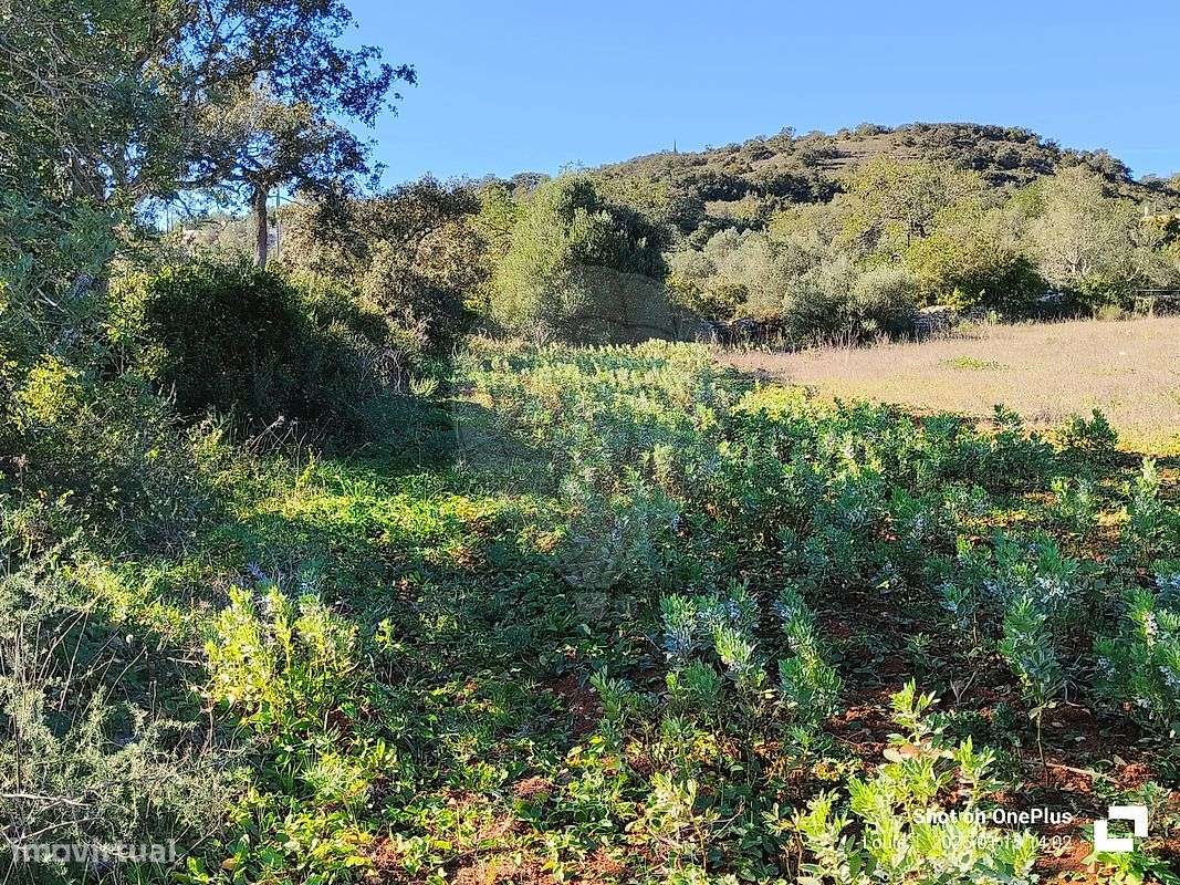 Terreno  para venda - Grande imagem: 5/29