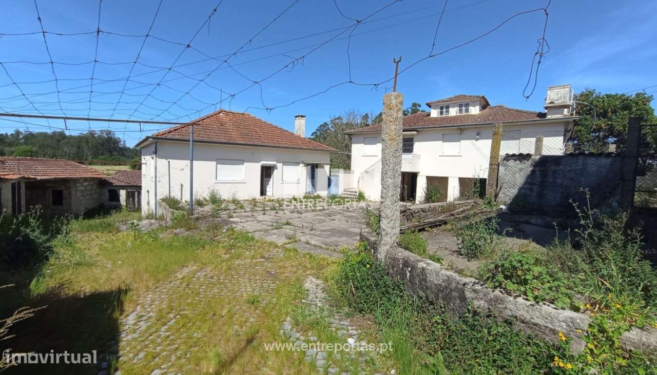 Venda de Quinta com 4629 m2, Vilar, Vila do Conde - Grande imagem: 5/22